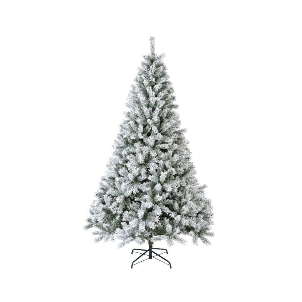 ALBERO CANADA H240 D150 INNEVA